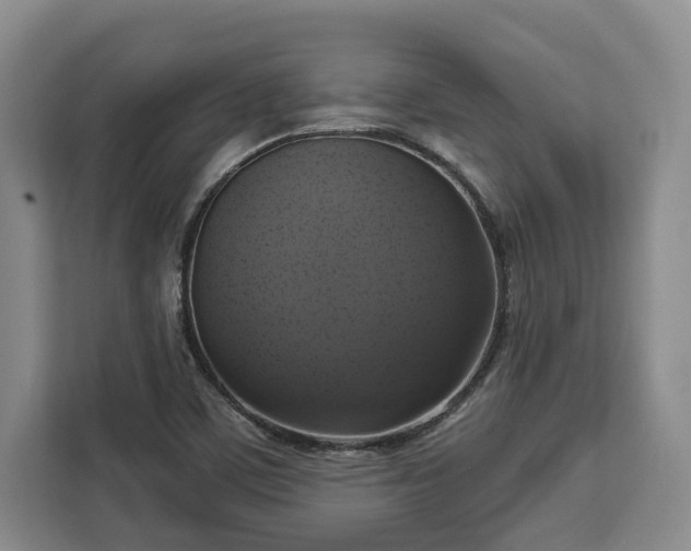 X0000112911459200908311227