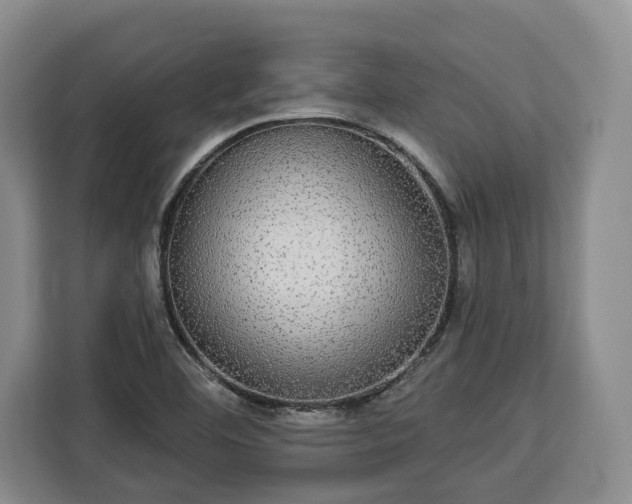 X0000112911460200908311227