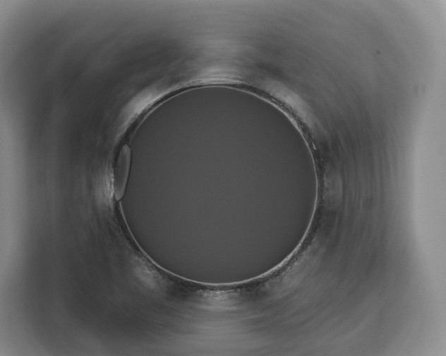 X0000112911461200908311227