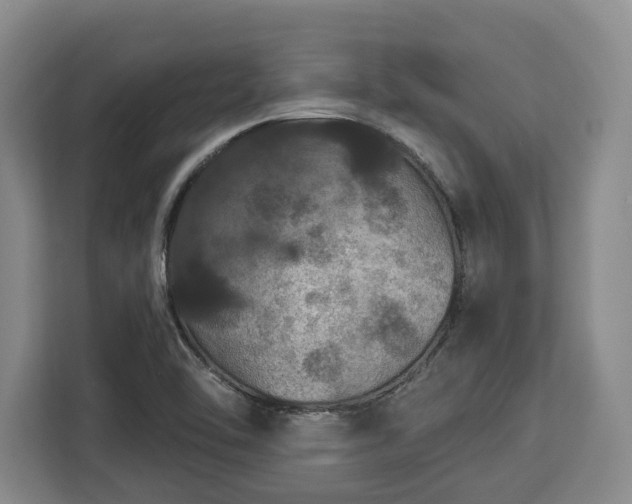 X0000112911462200908311227