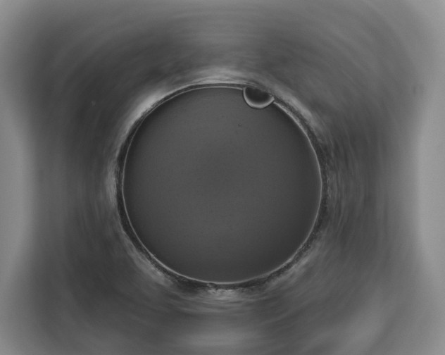 X0000112911463200908311227