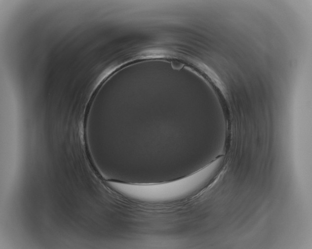 X0000112911465200908311227