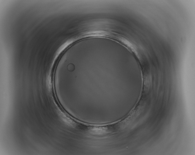 X0000112911466200908311227