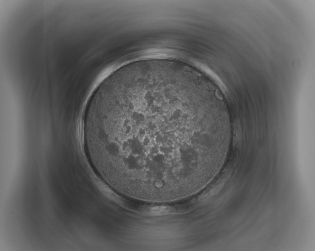 X0000112911467200908311227