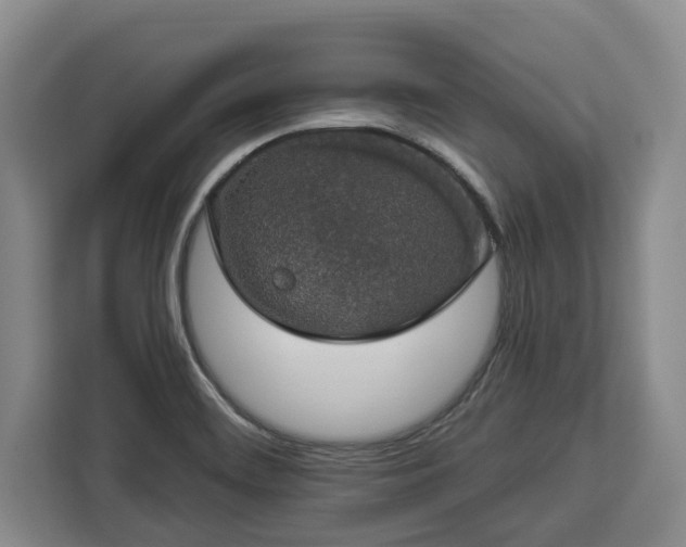 X0000112911468200908311227