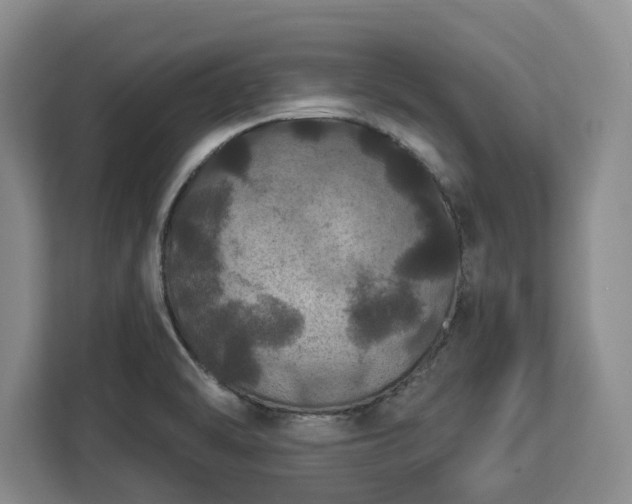 X0000112911470200908311227