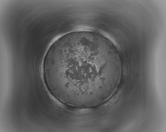 X0000112911471200908311227