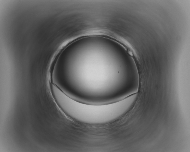 X0000112911472200908311227