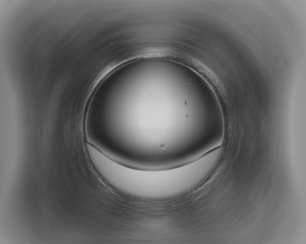 X0000112911473200908311227