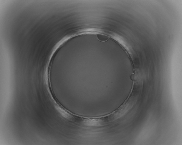 X0000112911474200908311227