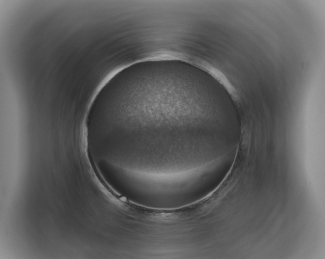 X0000112911476200908311227