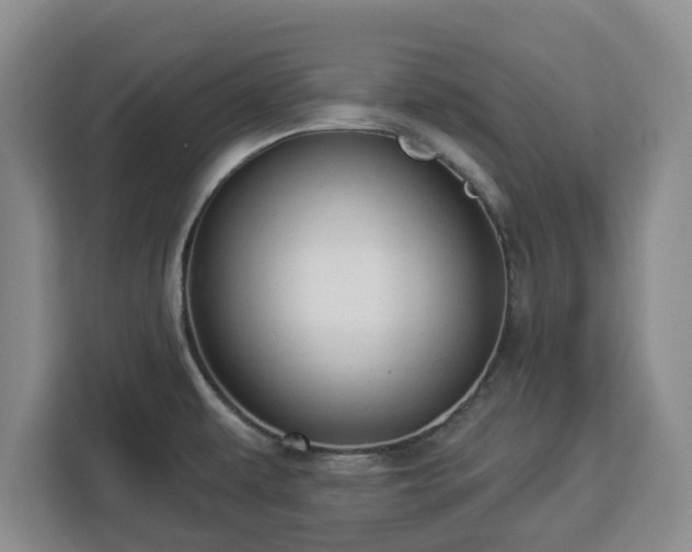 X0000112911479200908311227