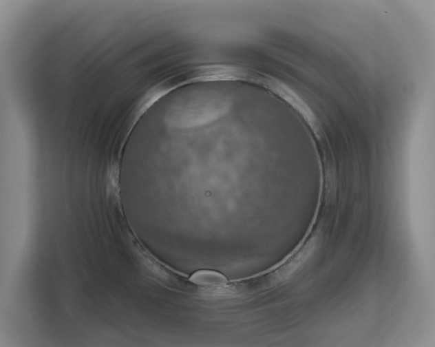 X0000112911481200908311227