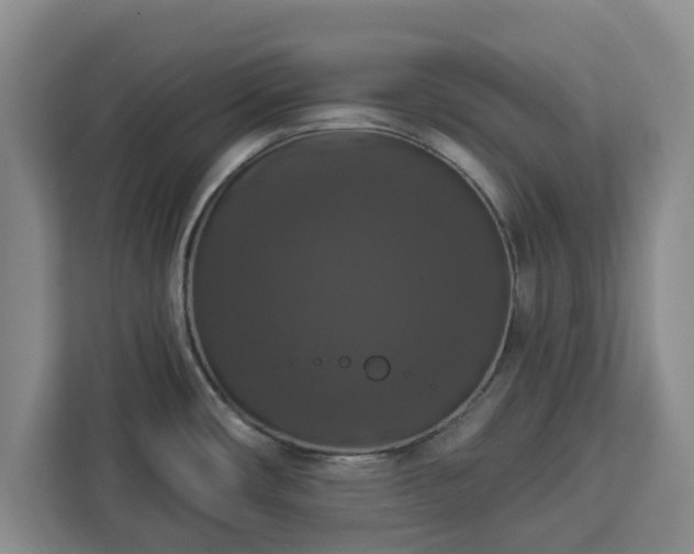 X0000112911482200908311227