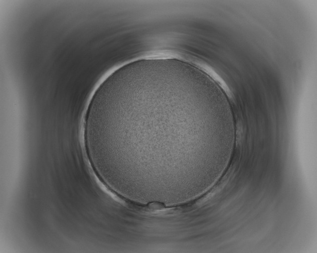 X0000112911484200908311227