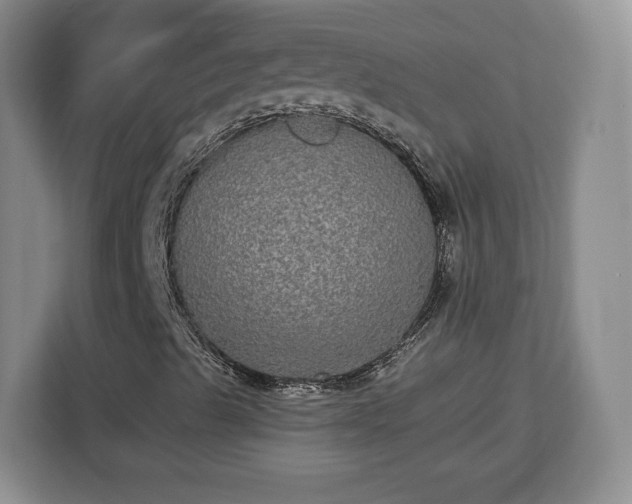 X0000112911489200908311226