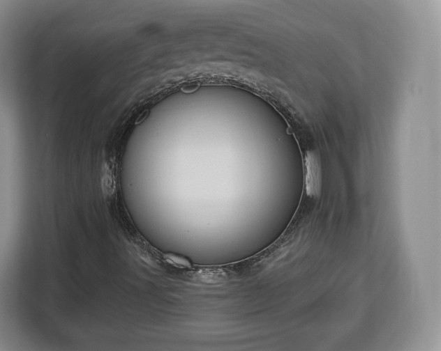 X0000112911491200908311226