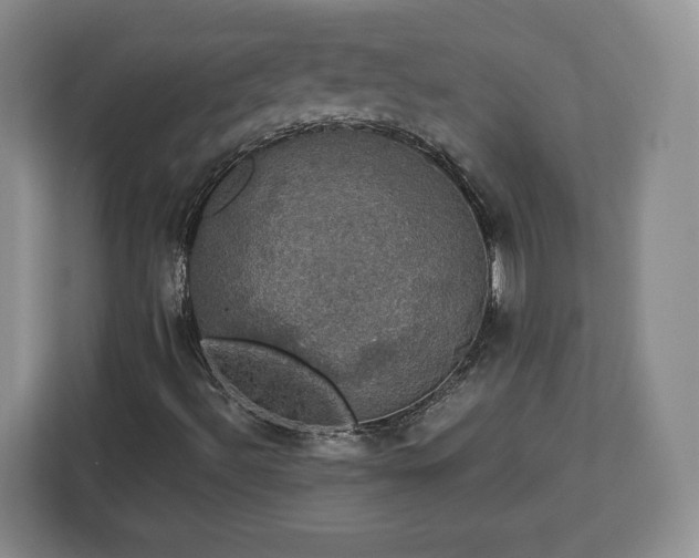 X0000112911492200908311226