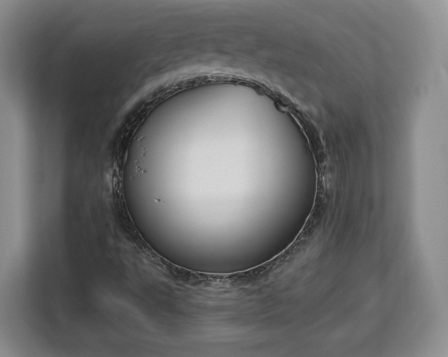 X0000112911495200908311226