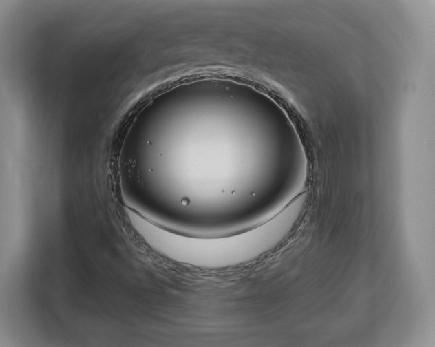 X0000112911496200908311226