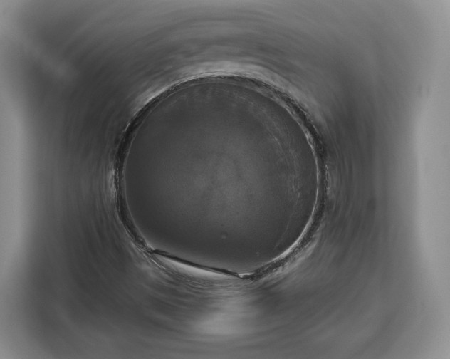 X0000112911497200908311226