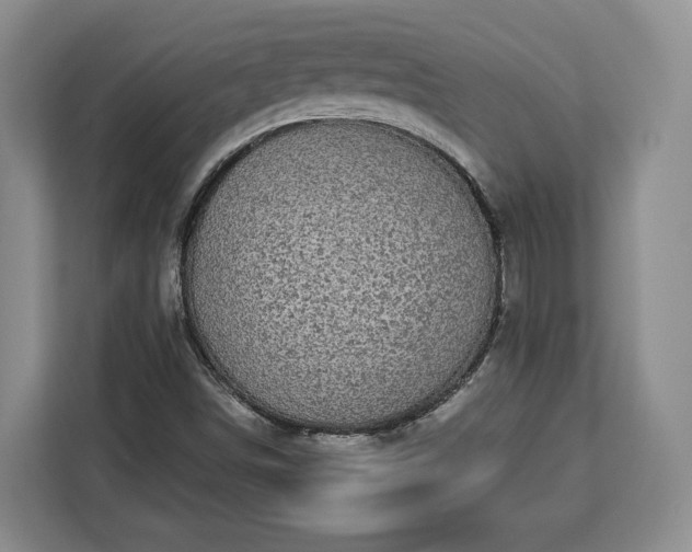 X0000112911498200908311226