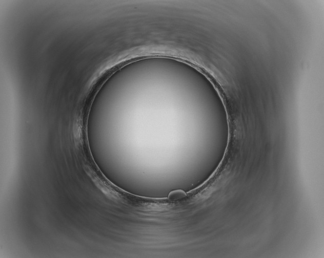 X0000112911499200908311226