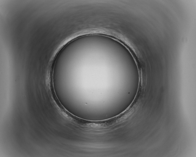 X0000112911500200908311226