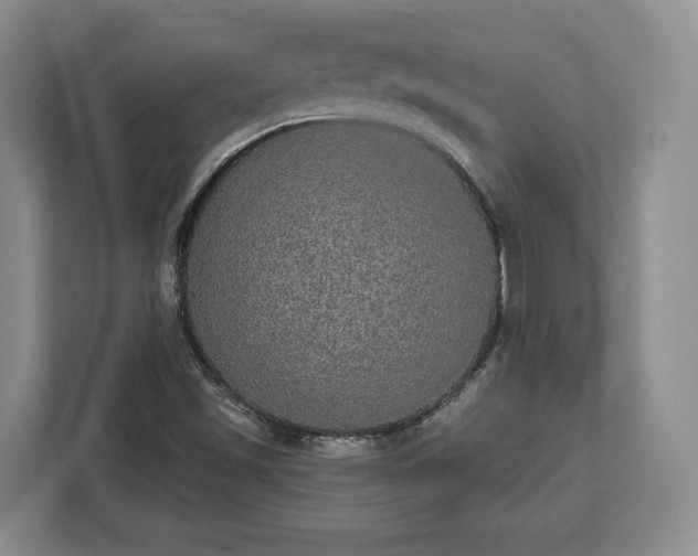 X0000112911501200908311226