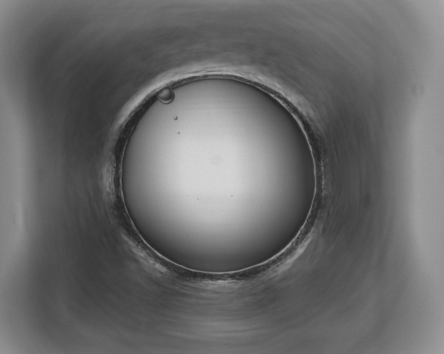 X0000112911502200908311226