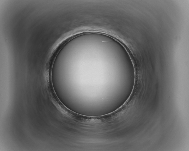 X0000112911503200908311227