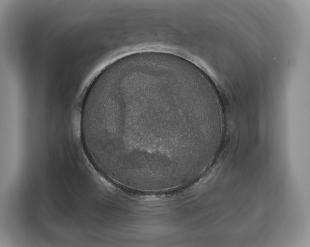 X0000112911504200908311227