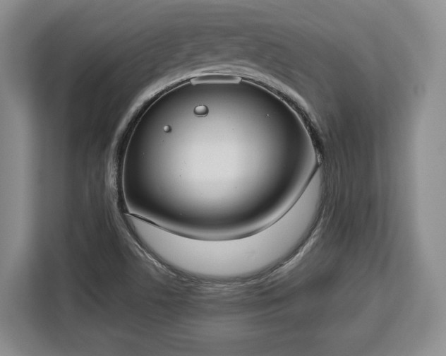 X0000112911506200908311227