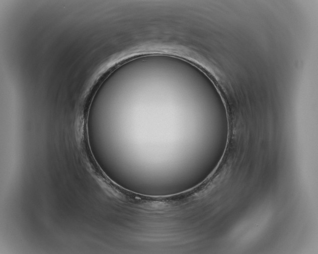 X0000112911507200908311227