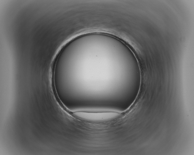 X0000112911508200908311227