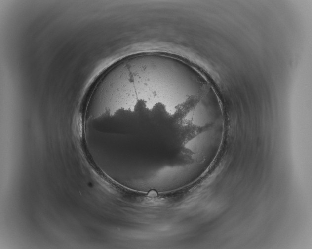 X0000112911509200908311227