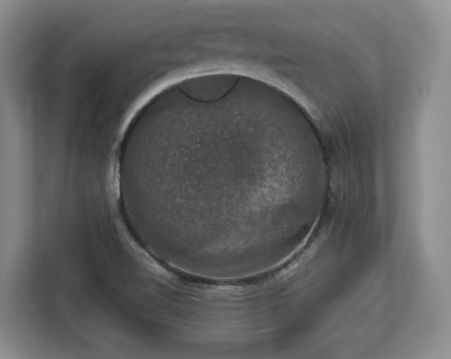 X0000112911510200908311227