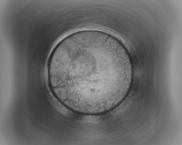 X0000112911514200908311227