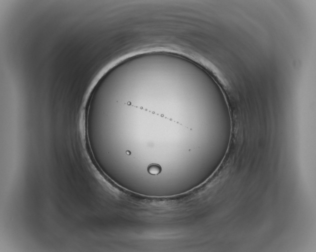 X0000112911516200908311227