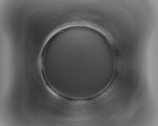 X0000112911519200908311227