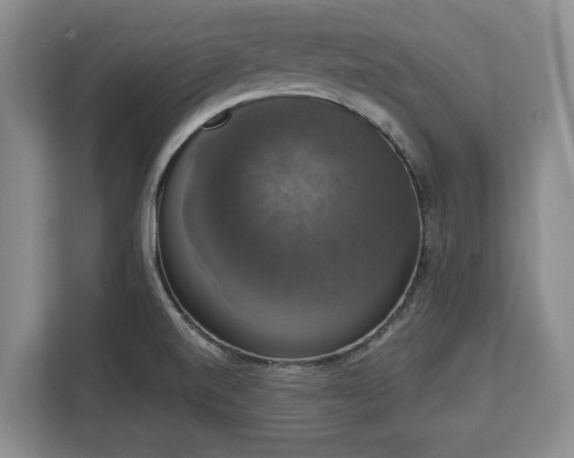 X0000112911520200908311227