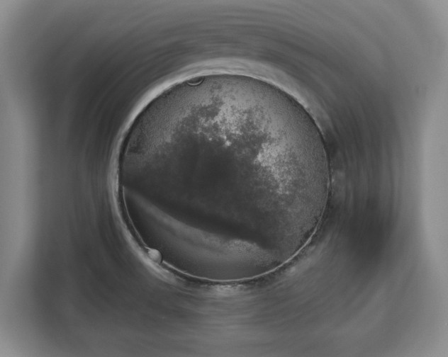 X0000112911523200908311227