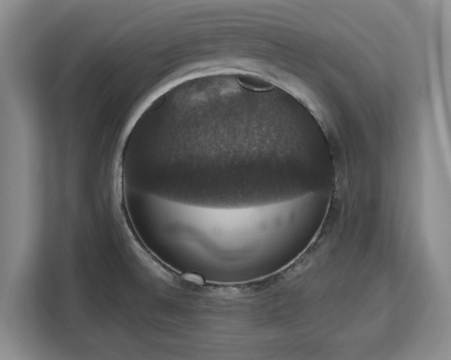 X0000112911524200908311227