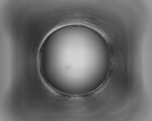 X0000112911526200908311227