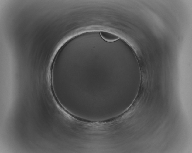 X0000112911527200908311227