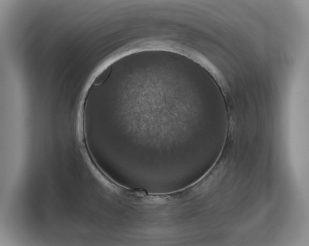 X0000112911528200908311227