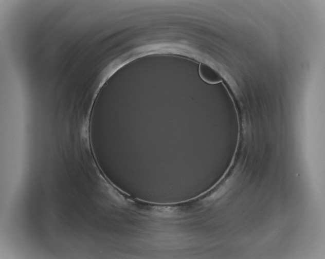 X0000112911529200908311227