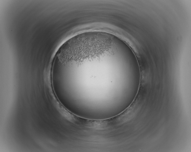 X0000112911530200908311227