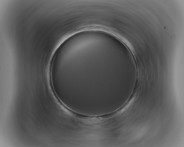 X0000112911533200908311227