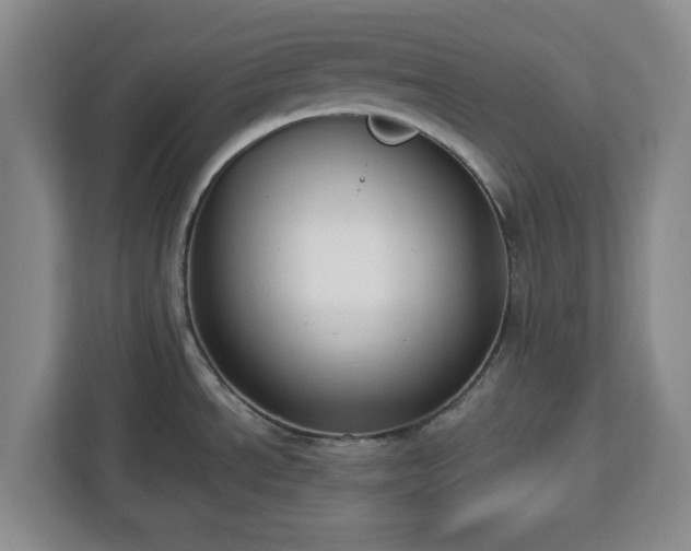 X0000112911534200908311227